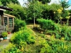 Garden Garden
